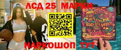 стаф Сланцы