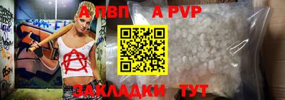 стаф Сланцы
