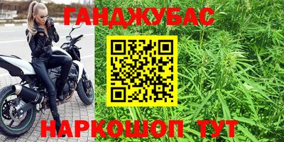стаф Сланцы