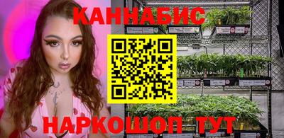 стаф Сланцы