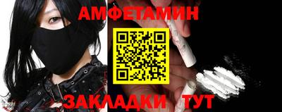 стаф Сланцы