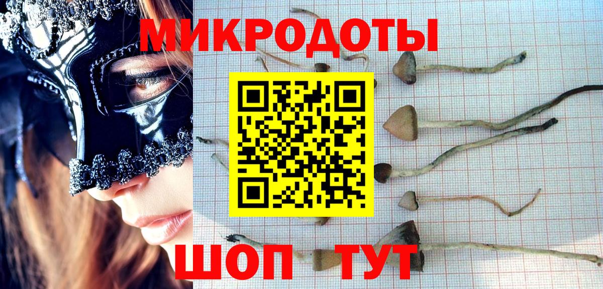 Псилоцибиновые грибы прущие грибы  Вход с VPN  купить  сайты  Слободской 