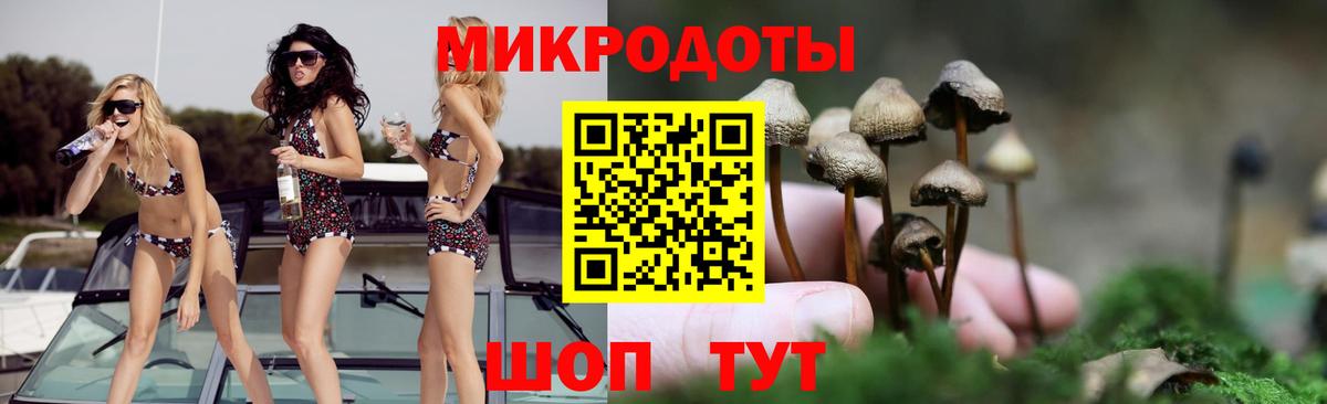 Псилоцибиновые грибы Psilocybine cubensis Слободской